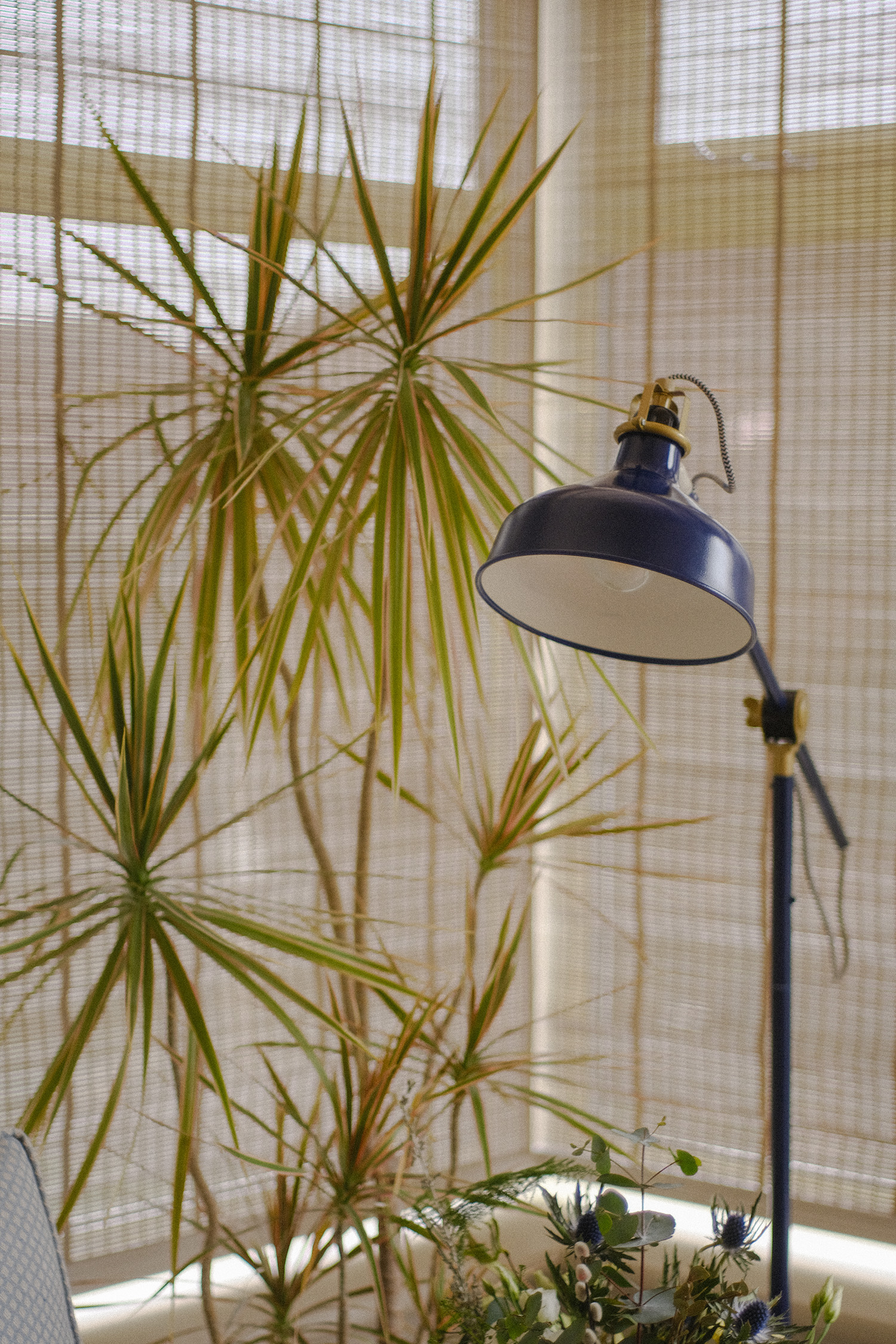 Navy floor lamp among tall indoor plants beside a bright window with sheer curtains